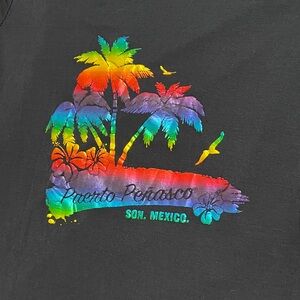 Black T-Shirt with Rainbow Palm Tree Design